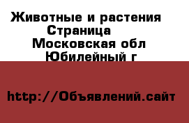  Животные и растения - Страница 30 . Московская обл.,Юбилейный г.